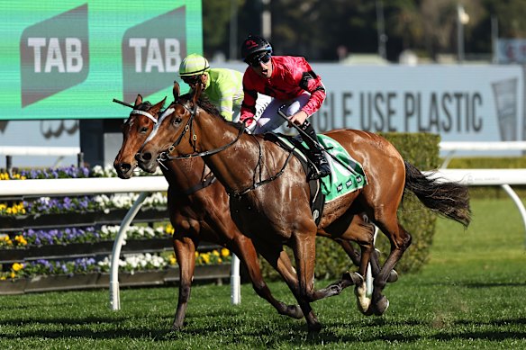 Apocalyptic wins at Randwick on Saturday.