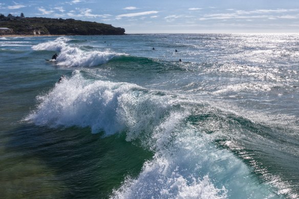 North Curl Curl beach.