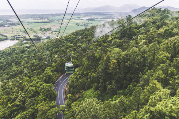 Kick back with sprawling vistas while riding the Skyrail Rainforest Cableway.