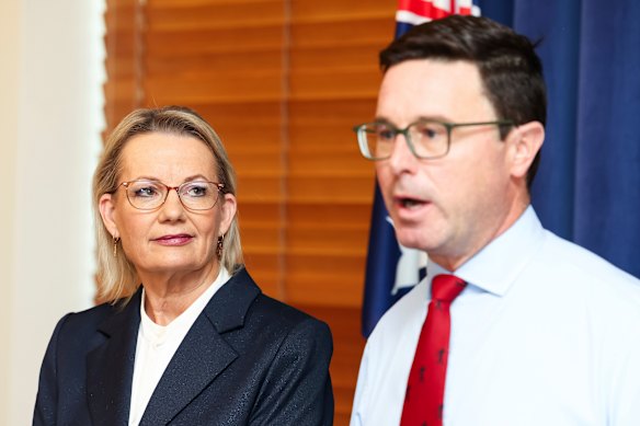 Coalition leaders Sussan Ley and David Littleproud unveiled their new shadow cabinet ministry on Wednesday.