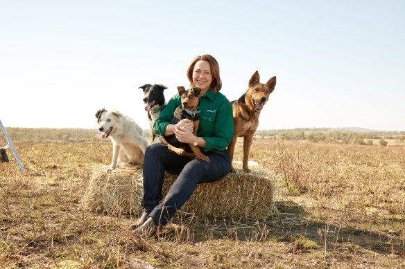 Presenter Lisa Millar with the stars of Muster Dogs.
