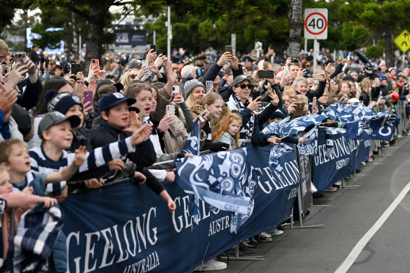 Cats fans cheer Tuesday’s parade.