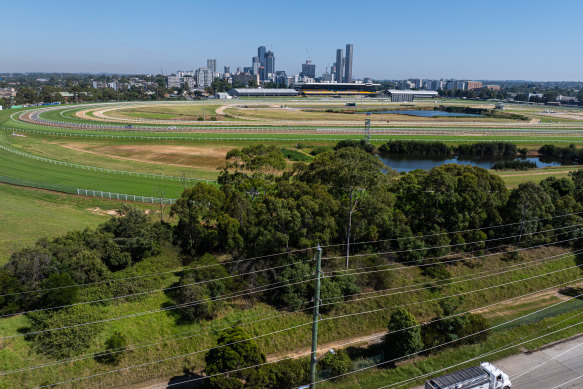 You have to question whether the Rosehill Racecourse and the surrounding precinct really is the best use of scarce land in Sydney in 2024.