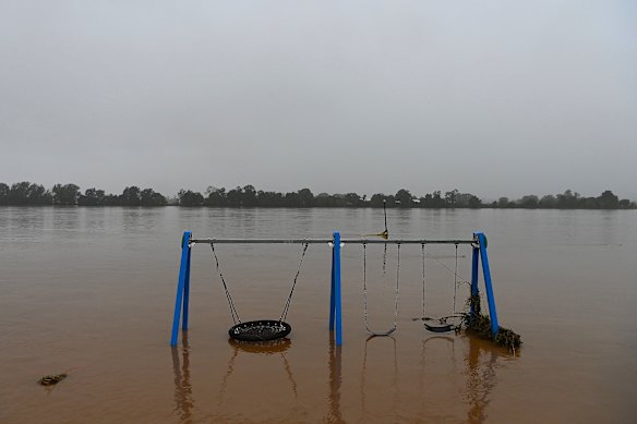 A swing under water on the banks of the Manning River in Taree on May 23.