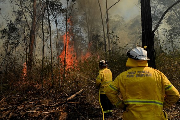 Firefighters tackle a bushfire at Wallacia on Wednesday.