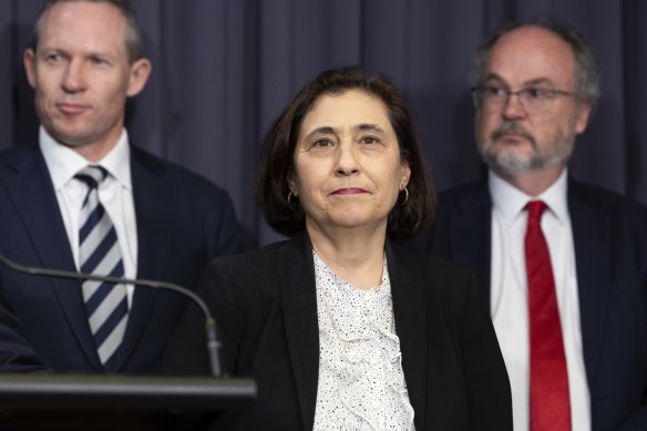 Victorian Minister for Energy Lily D’Ambrosio during a Canberra press conference in August Photo: Alex Ellinghausen