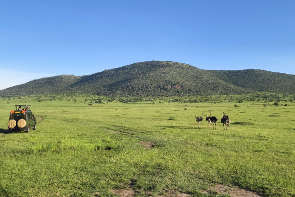 The famed Masai Mara.