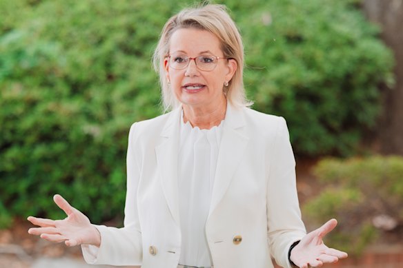 Federal Opposition Leader Sussan Ley has become the subject of Liberal leadership speculation.