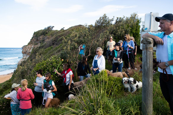 Mitch Geddes, right, along with other dog owners, has been lobbying for an off leash area on Mona Vale Beach for years.