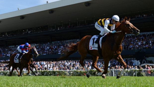 Daylight second: Galio Chop, ridden by Mark Zahra, streaks away in the Ranvet Stakes.