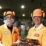 ‘We’ve been shackled’: Inside the plans to serve Sara Lee cake to a new generation