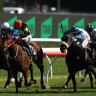 Pride eyes sprint bonuses with Everest stars Think About It and Private Eye