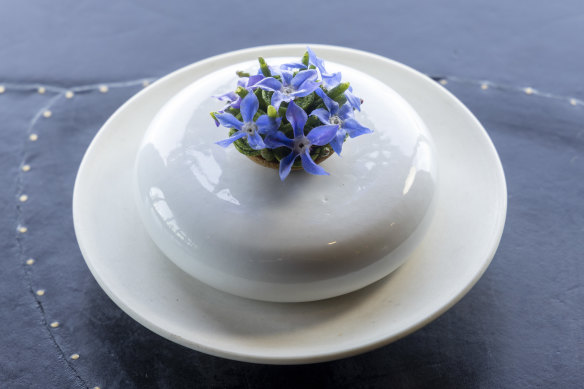 A tiny avocado tart is dotted with borage flowers and brightened with finger lime.