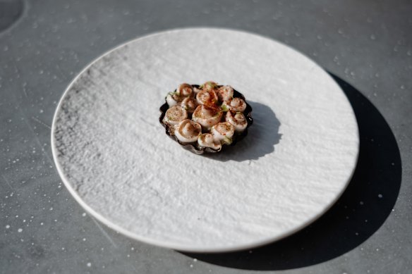 Tartare of aged wagyu, pickled enoki and chilli from the 2023 Maaemo x Berowra Waters Inn dinner. 