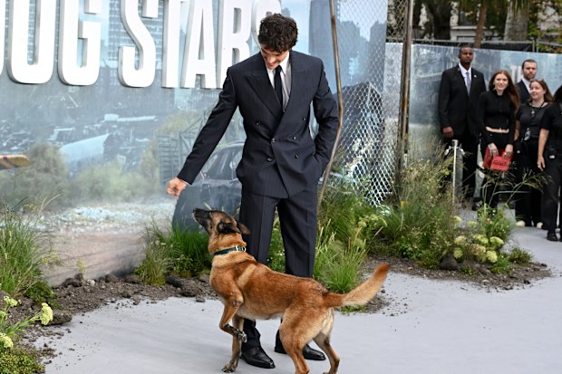 Jacob Elordi and Rak Jasper the Dog at the world premiere of The Dog Stars at Odeon Luxe Leicester Square, London on August 20, 2026