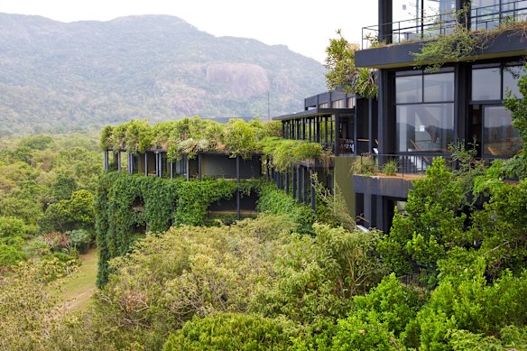 Heritance Kandalama, in Sri Lanka’s cultural triangle. Geoffrey Bawa, then 72, was carried through the jungle on a chair to get a sense of the terrain before designing the 152-room hotel.