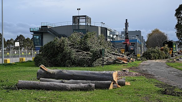 Large trees were felled around the existing pit building last year to prepare for the redevelopment.   