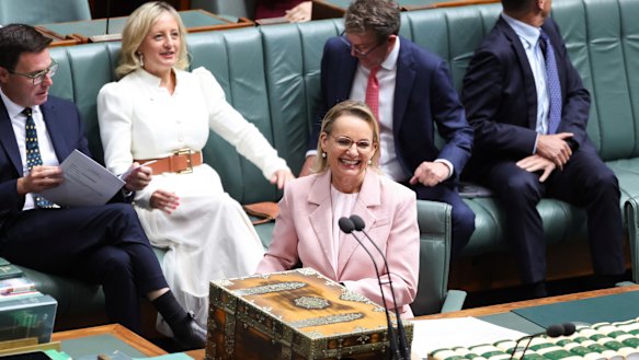 Opposition Leader Sussan Ley during question time at Parliament House in Canberra.