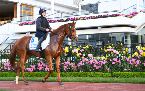 Vauban was the pre-race favourite.