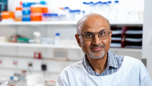 QIMR's Professor Rajiv Khanna said a combined immunotherapy would be used in the next phase of the trial.