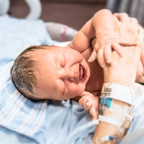 WA has recorded the highest growth in birth rates between 2023 and 2024 out of any Australian capital.