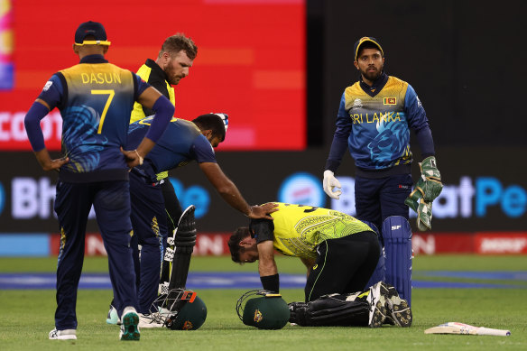 Glenn Maxwell falls to the ground after being struck.