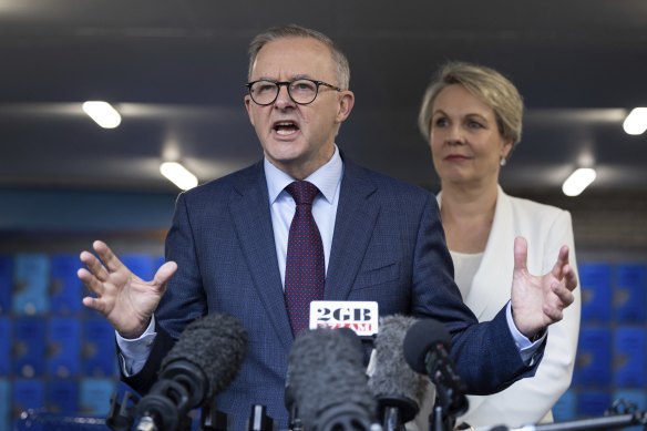 Opposition Leader Anthony Albanese and shadow education minister Tanya Plibersek. 