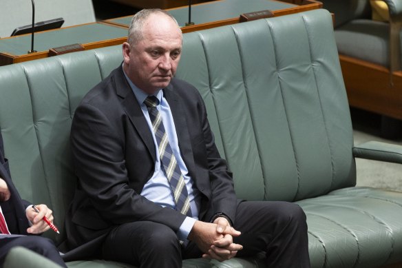 Former deputy prime minister Barnaby Joyce.