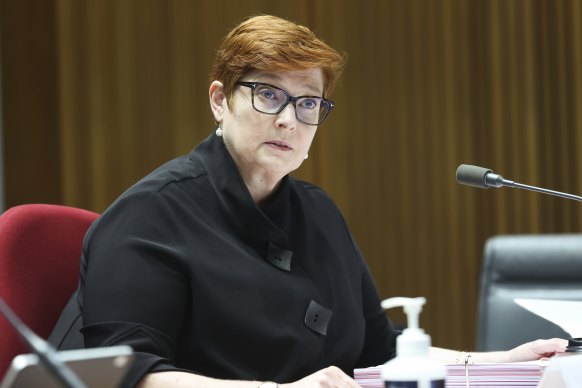 Former foreign minister Marise Payne has kept a low profile since the May election. 