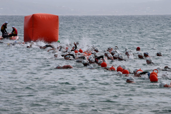 Competitors swimming in the 2019 Lorne Pier to Pub.