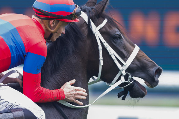 Champion Verry Elleegant won’t be in this year’s All-Star Mile.