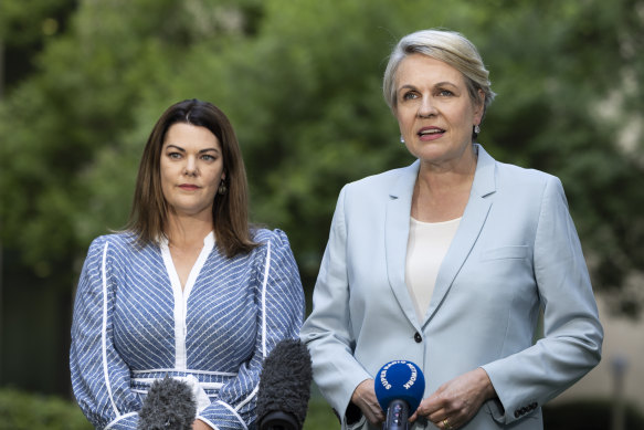 Environment and Water Minister Tanya Plibersek (right) and Greens Senator Sarah Hanson-Young announcing their deal on Monday.