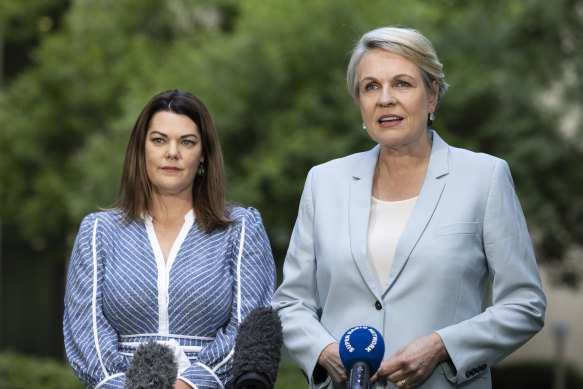 Environment and Water Minister Tanya Plibersek (right) and Greens Senator Sarah Hanson-Young.