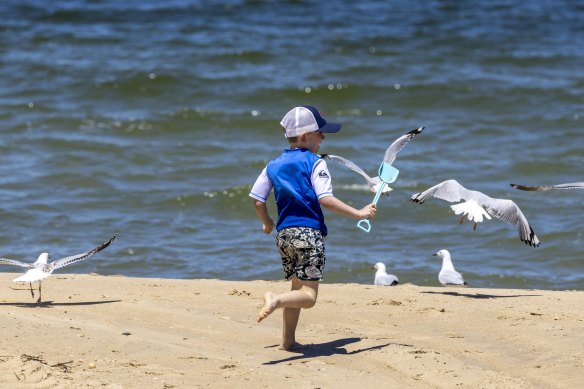 As our family beach holiday draws to an end, a familiar sadness creeps up.