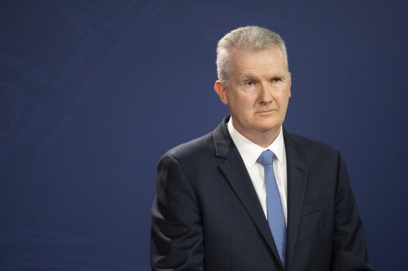 Tony Burke called the legislation a “cruel hoax”.