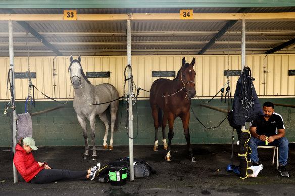Racing returns to Hawkesbury on Wednesday.