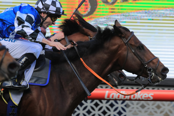 Chief Ironside lines up as a strong each-way chance for punters in the final race of the autumn carnival.