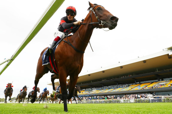 Fully Lit charged to the lead and held on in an impressive debut at Rosehill, and could do so again in the Inglis Millennium.