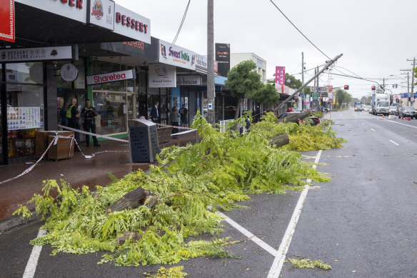 Downed trees and a damaged power pole in Clayton.