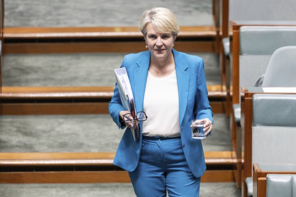 Environment and Water Minister Tanya Plibersek arrives for question time.