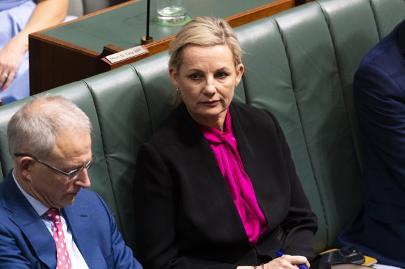 Deputy Liberal leader Sussan Ley.