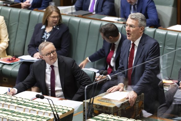 Prime Minister Anthony Albanese and Attorney-General Mark Dreyfus during question time today.