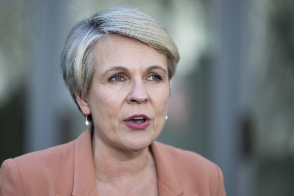 Federal Environment Minister Tanya Plibersek says the country is in the midst of a recycling jobs boom.