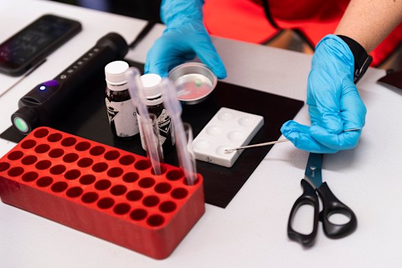 Queensland’s pill-testing sites closed in April. A report evaluating their efficacy was completed last week, but the LNP won’t say if it will be made public.