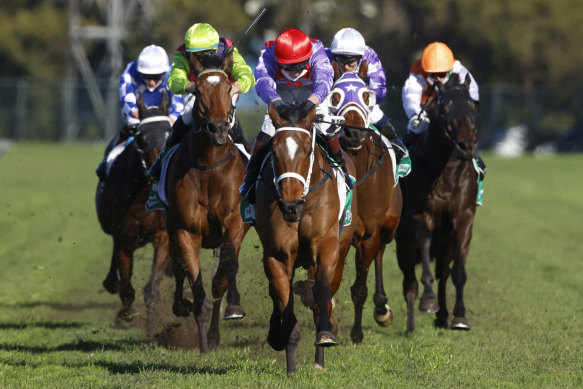 Oscar Zulu wins at Rosehill in July during a campaign where he started to live up to his ability.