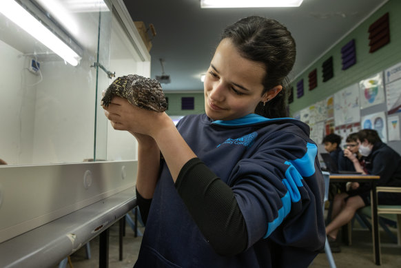 Bundoora Secondary College student Aaliya Da Silva with Meatloaf in the school’s reptile enclosure.