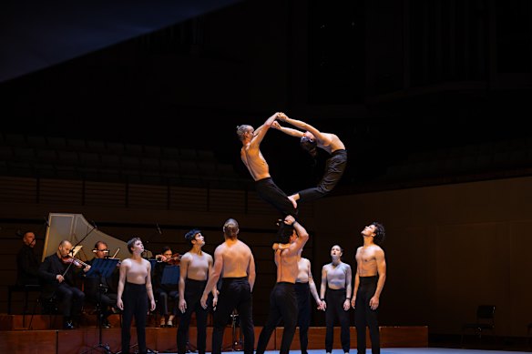 The Circa performers have perfected strength, balance and skill.