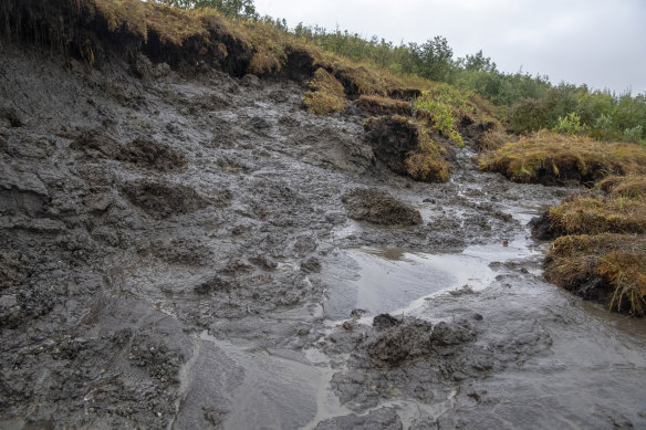 A permafrost “thaw slump” on the banks of Esieh Lake in Alaska.