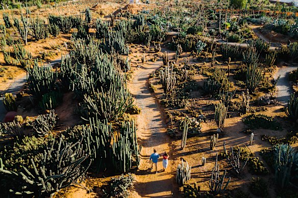 Strathmerton is also known for its Cactus-themed fun park