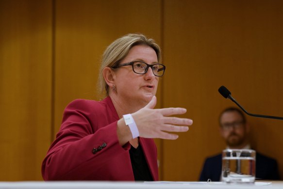 Investment NSW managing director Kylie Bell gives evidence to the inquiry on Friday.